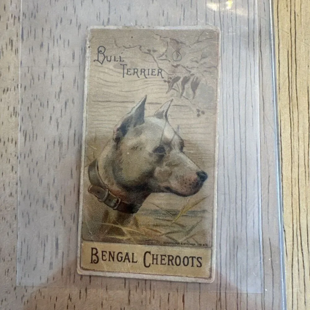 Bengal Cheroots H. Ellis And Co Tobacco Bull Terrier Collector Card 1890s